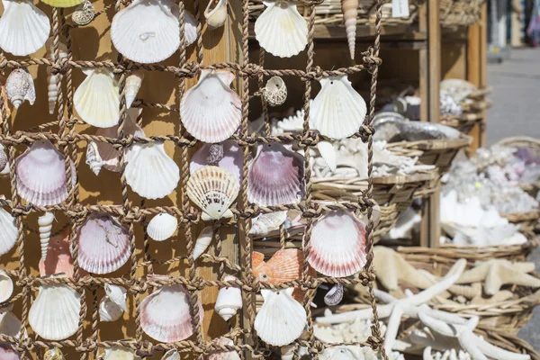 Souvenirs d'étoiles de mer et coquillages à vendre — Photo