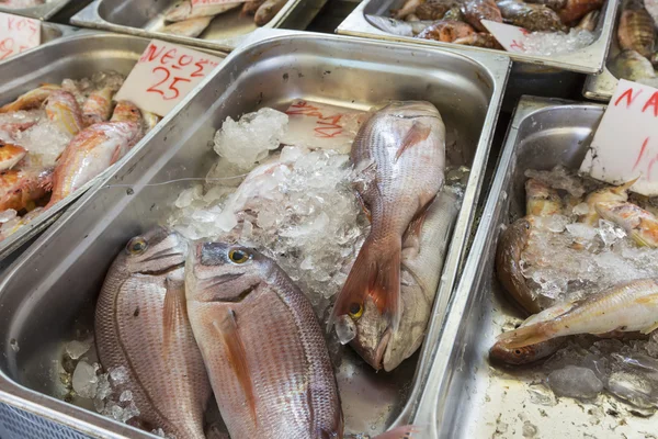 Pescado fresco en el mercado de pescado - Grecia —  Fotos de Stock