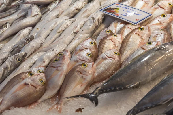 Peixes frescos no mercado do peixe - Grécia — Fotografia de Stock