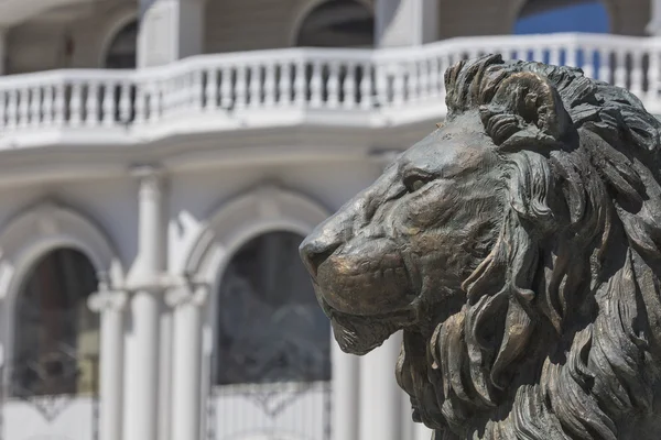 Lion standbeeld, Skopje, Macedonië — Stockfoto