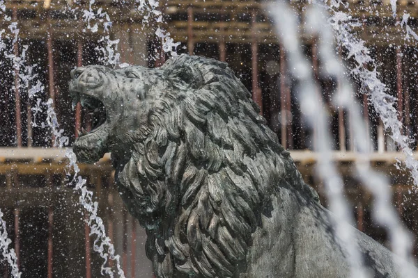スコピエ、マケドニアのダウンタウンのライオン像の噴水 — ストック写真