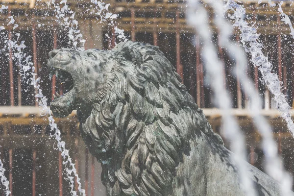 Aslan heykeli çeşme merkezinde Üsküp, Makedonya 