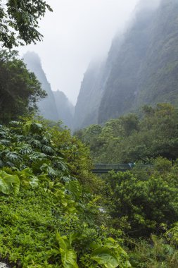 IAO valley state park maui Hawaii