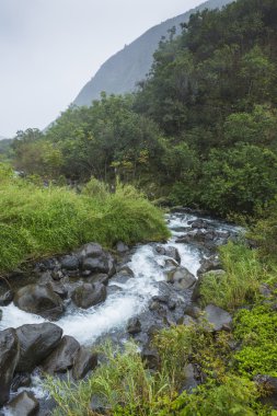 IAO valley state park maui Hawaii