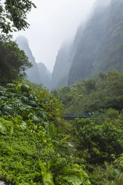 IAO valley state park op maui hawaii — Stockfoto