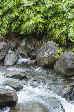 IAO valley state park maui Hawaii
