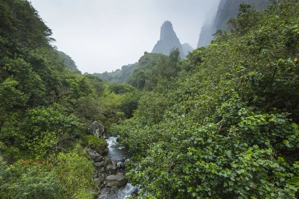 Iao Valley State Park on Maui Hawaii — Stock Photo, Image