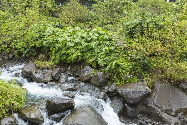 Iao Valley State Park on Maui Hawaii — Stock Photo, Image