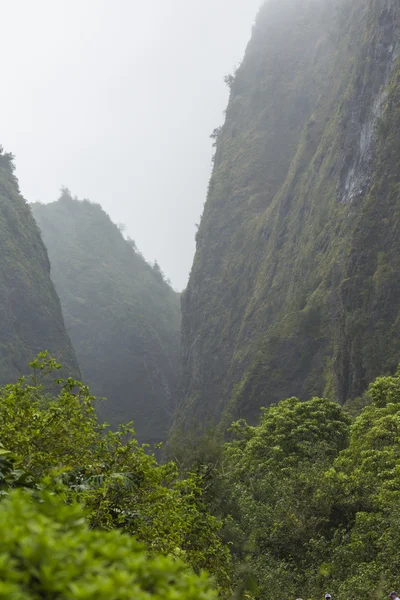 Park stanowy Dolina Iao na maui na Hawajach — Zdjęcie stockowe