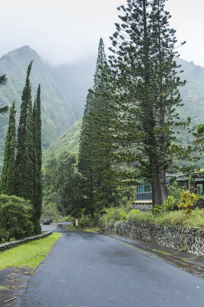 Iao Valley State Park on Maui Hawaii — Stock Photo, Image