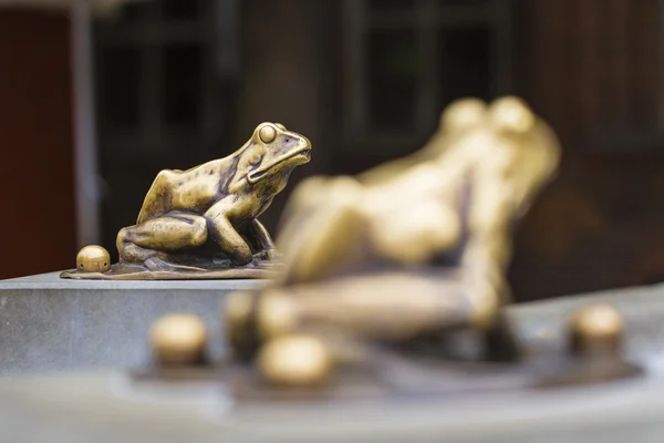 Fuente con rana de la suerte de oro - el símbolo de la ciudad de Torun (Pola —  Fotos de Stock