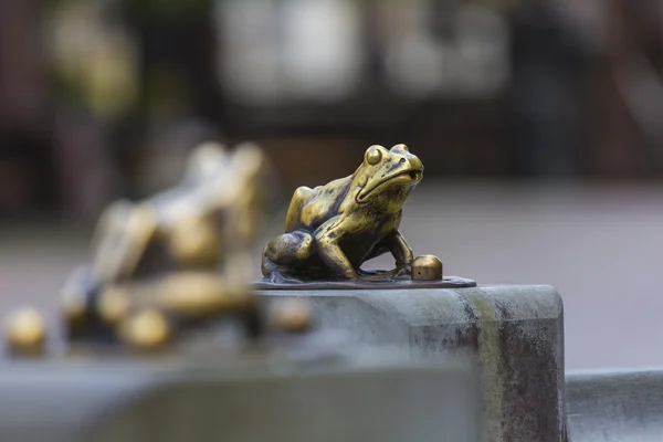 Fontána se zlatými lucky frog – symbol města Toruň (Pola — Stock fotografie