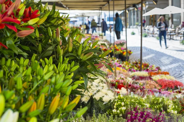 Giorno di mercato con molti fiori primaverili in vendita. Le margherite in differe — Foto Stock