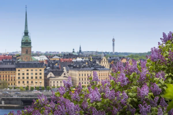 Malownicza panorama architektury molo w starym mieście (Gamla Stan) i — Zdjęcie stockowe