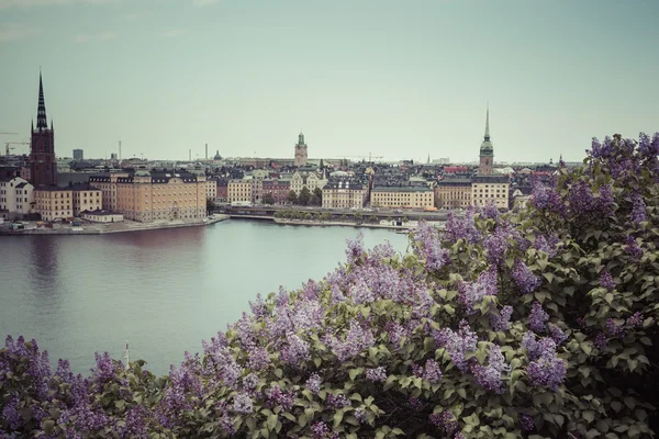 Malerisches panorama der altstadt (gamla stan) pier architektur i — Stockfoto