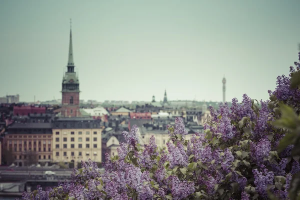 Panorama panorâmico da Cidade Velha (Gamla Stan) — Fotografia de Stock