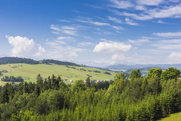 Vista sobre Tatras mounatins.Poland . — Fotografia de Stock