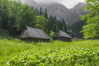 Tatra, Polonya - 22 Haziran: Dağ sığınma evinde Tatra Mounta