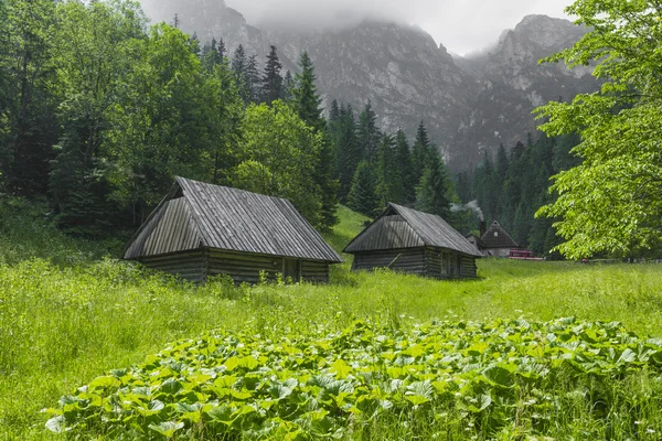 TATRA, POLÓNIA - JUNHO 22: Casa de abrigo de montanha em Tatra Mounta — Fotografia de Stock