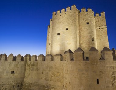 Cordoba - İspanya - 10 Haziran 2016: Roma anıt Köprüsü, illumin