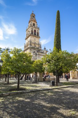 Cordoba - İspanya - 10 Haziran 2016: Eski Torre del Alminar Bell çekici