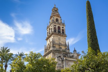 Cordoba - İspanya - 10 Haziran 2016: Eski Torre del Alminar Bell çekici