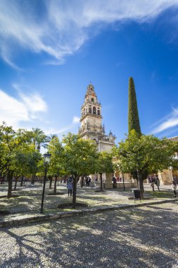 Cordoba - İspanya - 10 Haziran 2016: Endülüs çan kulesinde 