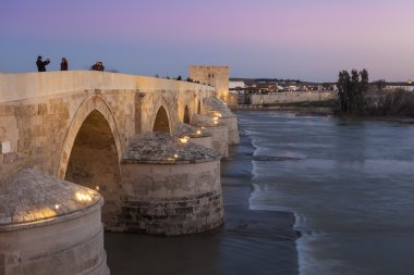 Cordoba - İspanya - 10 Haziran 2016: Roma köprüsü Guadalquivir r
