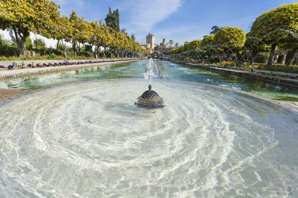 CORDOBA - SPAIN - JUNE 10, 2016 :Gardens at the Alcazar de los R — Stock Photo, Image