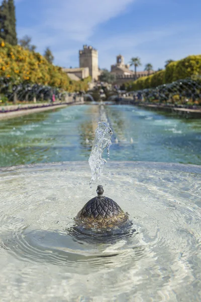 CORDOBA - ESPANHA - JUNHO 10, 2016: Jardins no Alcazar de los R — Fotografia de Stock