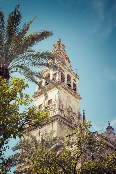Cordoba - Španělsko - 10 červen 2016: Staré Torre del Alminar Bell koudel — Stock fotografie