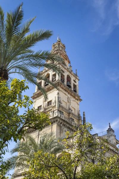 CORDOBA - ESPAÑA - 10 DE JUNIO DE 2016: Old Torre del Alminar Bell Tow —  Fotos de Stock