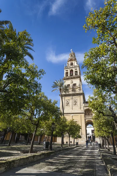 CORDOBA - SPAIN - JUNE 10, 2016 :The bell tower at the Mezquita — Stock Photo, Image