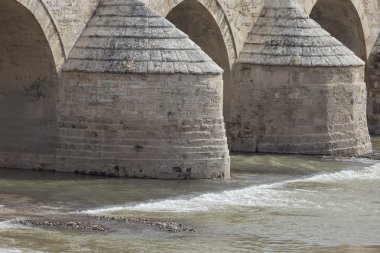 Cordoba. Andalusia.Old Roma köprüsü.