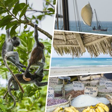 Zanzibar görüntüleri - seyahat arka plan (benim fotoğraf kolaj)