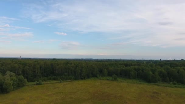 Luchtfoto van het bos in Polen. — Stockvideo