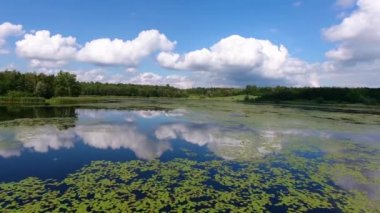 Yaz saati göl ve yeşil orman, beyaz bulutlar üzerinde Polonya peyzaj mavi gökyüzünde.