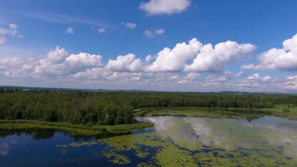 Sommartid sjön och grön skog, vita moln över blå himmel i Polen lanscape. — Stockvideo