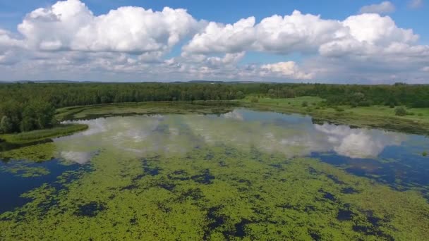 Latem jezioro i zielony las, białe chmury nad niebieski niebo w Polsce lanscape. — Wideo stockowe