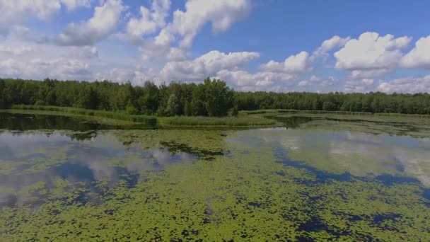 Latem jezioro i zielony las, białe chmury nad niebieski niebo w Polsce lanscape. — Wideo stockowe