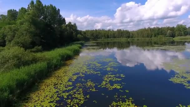 Zomertijd lake en groene bos, witte wolken over blauwe hemel in Polen lanscape. — Stockvideo