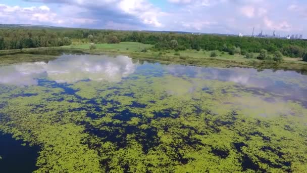 Letní čas jezero a zelený Les, bílé mraky nad modré oblohy v Polsku krajina. — Stock video