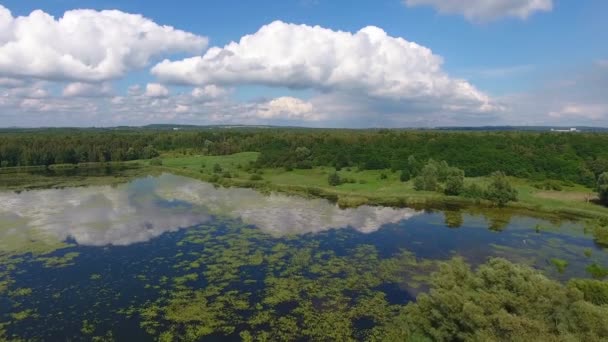 Zomertijd lake en groene bos, witte wolken over blauwe hemel in Polen lanscape. — Stockvideo