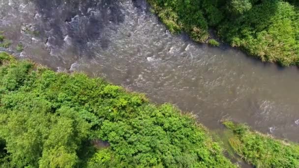 Mountain river och green riverbank från ovan. Ustroń. Polen — Stockvideo