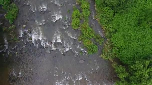 Mountain river och green riverbank från ovan. Ustroń. Polen — Stockvideo