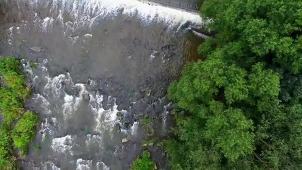 Río de montaña y ribera verde desde arriba. Ustron. Polonia — Vídeos de Stock