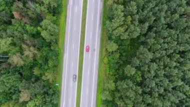Kuzeyinde Polonya giderken yolun ormanın içinde üzerinde video dron havadan görünümü.
