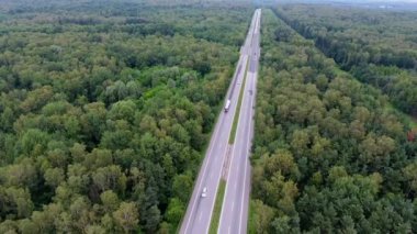 Kuzeyinde Polonya giderken yolun ormanın içinde üzerinde video dron havadan görünümü.
