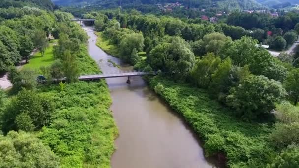 Río de montaña y ribera verde desde arriba. Ustron. Polonia — Vídeo de stock