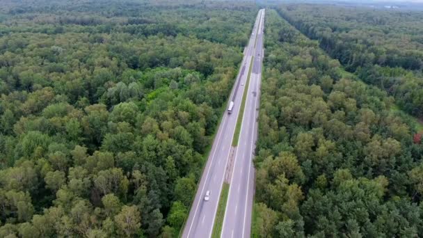 Video vista aérea del dron sobre la carretera en el bosque en el camino al norte de Polonia . — Vídeos de Stock